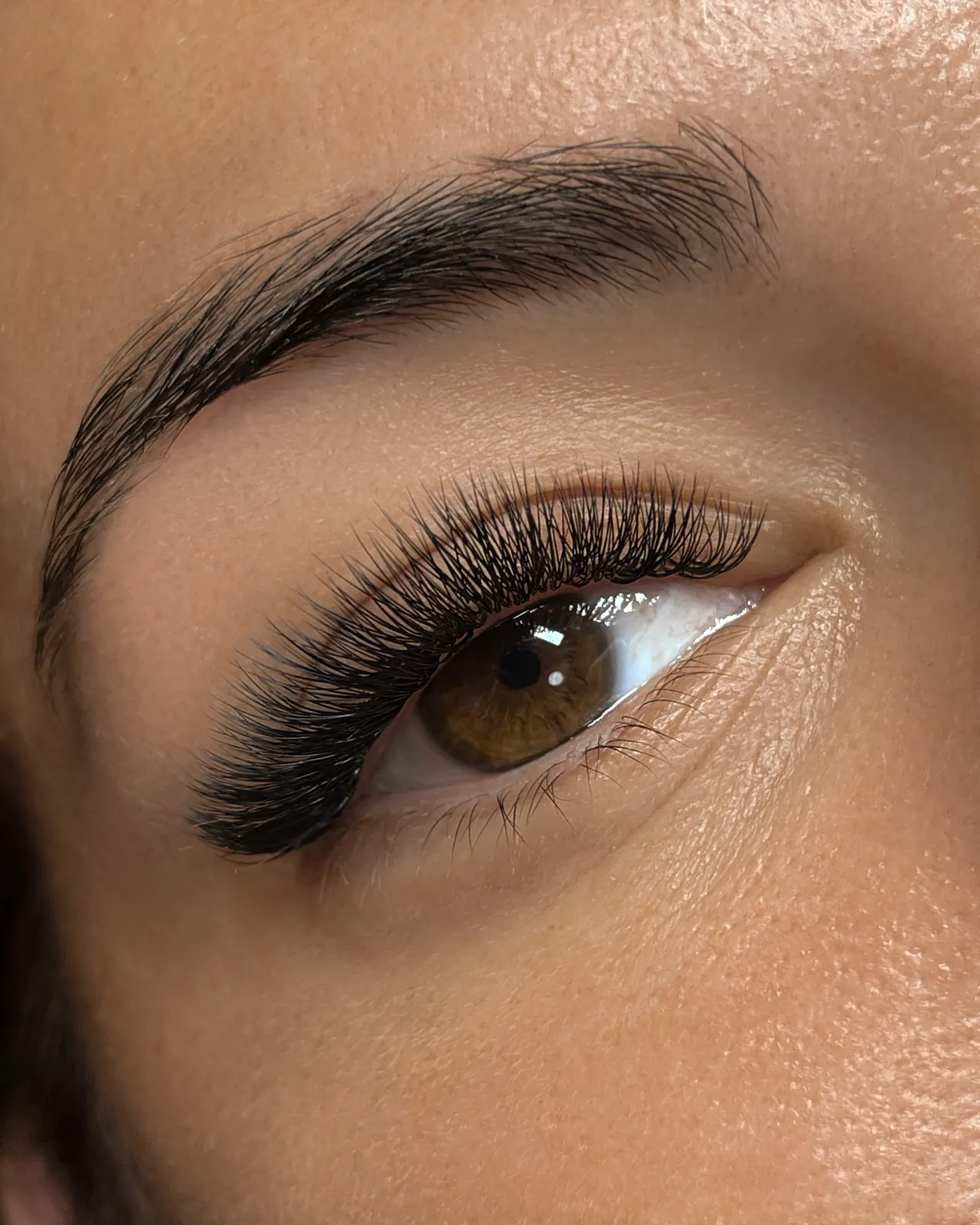 Mega volume cat eye set at maximum density, Gravesend Brooklyn
