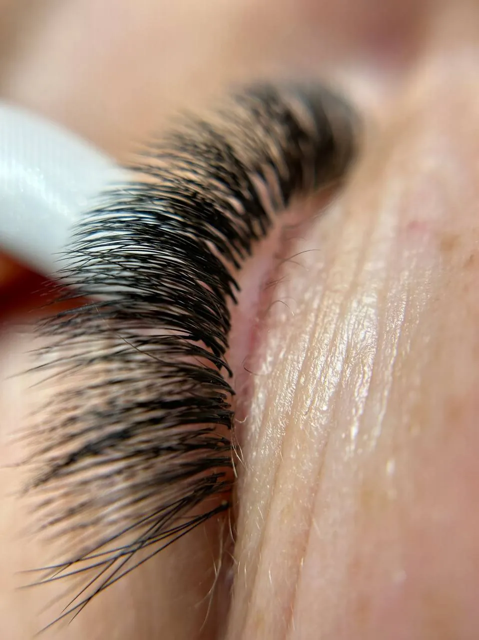 Detail of a mega volume lash line, DEEPINLASH studio Brooklyn 11223